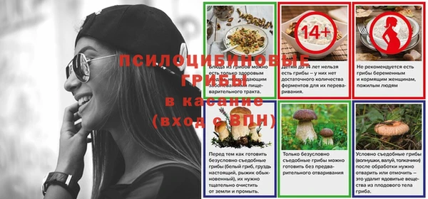 spice Алексеевка