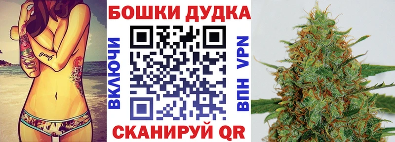 как найти наркотики  Зеленокумск  Бошки марихуана White Widow 